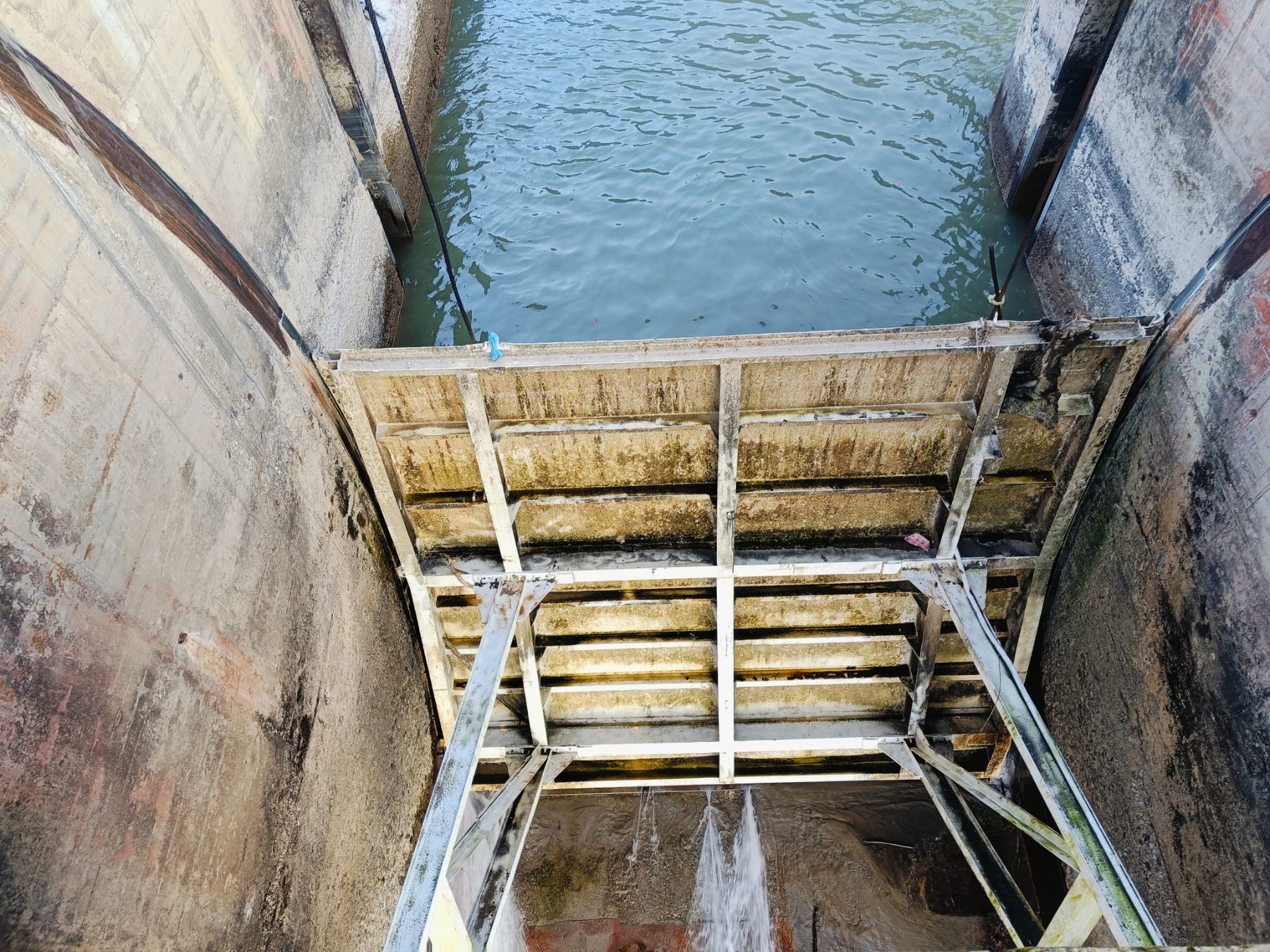 Radial gate